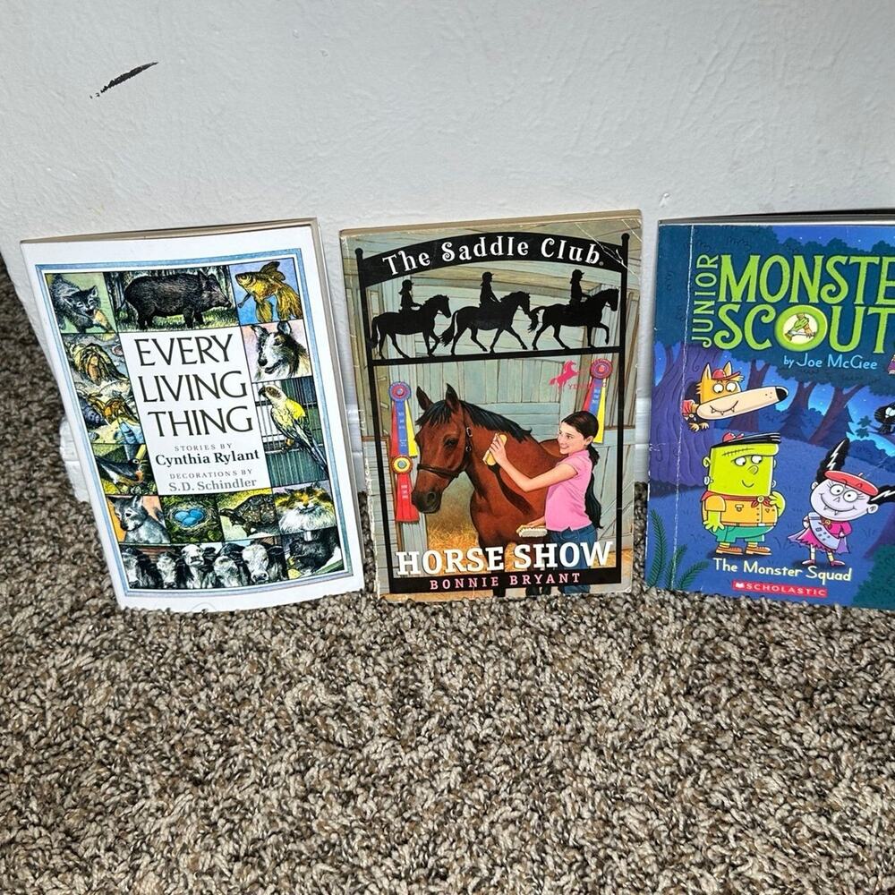 3rd Grade Chapter Book Bundle